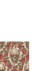 Vintage Skull with roses vector