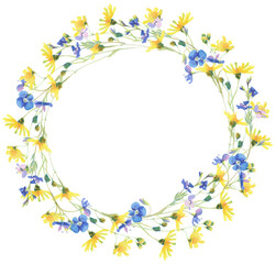 Watercolor Meadow Flower Wreath. Hand drawn spring flower arrangement. Easter illustration - 564718613