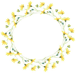 Watercolor Meadow Flower Wreath. Hand drawn spring flower arrangement. Easter illustration - 564718649