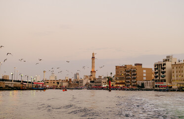 View of Dubai creek with lots of seagulls and at sunset, Dubai, UAE - obrazy, fototapety, plakaty