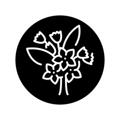 Jasmine сolor line icon. Pictogram for web page