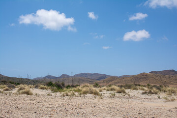 Desierto