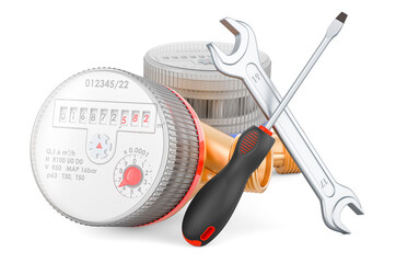 Cold and hot water meters with screwdriver and wrench, 3D rendering