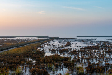 Salt marshes and cordgrass in the northwest of East Frisia in the seaside resort of Norddeich on the North Sea. Ground fog and the play of colors of the sunset invite you to take a walk by the sea