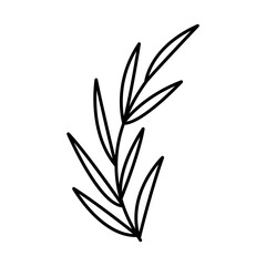 Vector drawing of a spring flower in the doodle style. vintage flower, template, wedding card, invitation, greeting card, poster, postcard.