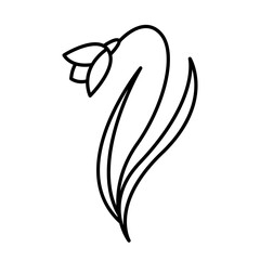 Obraz premium Vector drawing of a spring flower in the doodle style. vintage flower, template, wedding card, invitation, greeting card, poster, postcard.