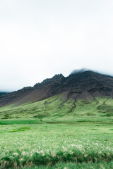 Fototapeta na wymiar Montagna nera e verde immersa nelle nuvole