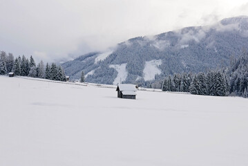 meravigliosa vista scenica della natura innevata in alto adige