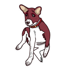 Obraz premium Dog. Vector drawing, basenji dog on a white background. For decor, scrapbooking, creativity, fabric.
