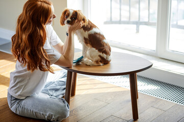 pets, morning, comfort, rest and people concept. happy young female with dog at home, loving...