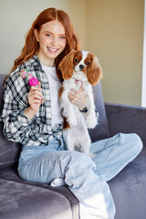 Female owner playing with joyful dog at home, happy young redhead woman enjoying games with cute puppy. Redhead lady in casual wear is Playing with dog, in domestic atmosphere, cozy room