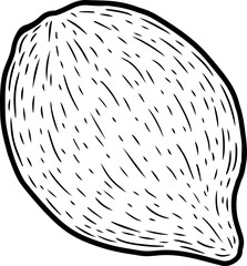 Full lemon with black line, png file
