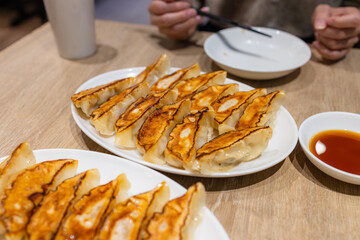 Japanese grill meat dumpling dish