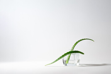 Minimalistic composition with aloe vera plant leaves in the glass jar on white background, copy space