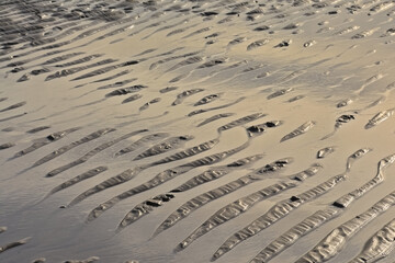 Nature background. rippling patterns in sand with water on the beach along the north sea coast