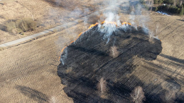 Firefighters put out a burning field near the road