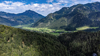 landscape in the summer