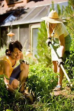 Two Women Socialize While Working In The Garden.