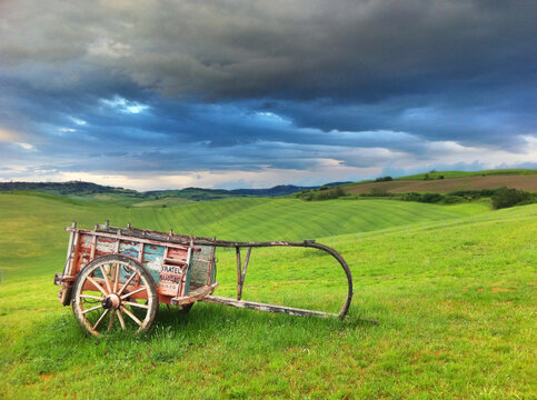 Il Rigo Cart