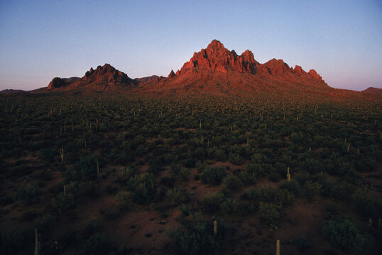 Silverbell Mountains.