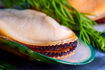 fresh mussels on a dark blue background