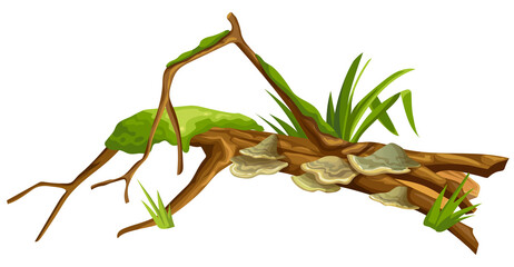 Logs, stumps in moss with fungus. Cartoon tree in lichen in swamp forest. Broken oak in tropical damp  jungle. Isolated vector element on white background.