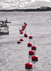 A row of red mooring buoys on the monochrome water of the Harbour
					
