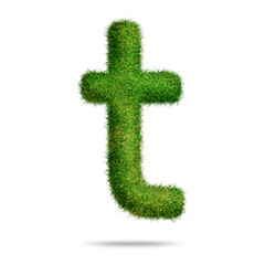 Green grass alphabet letter t for text or education concept
