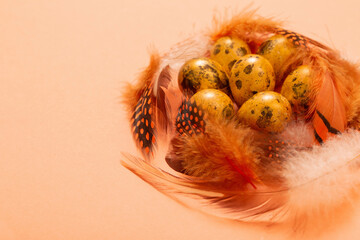 Naklejka na ściany i meble easter golden quail eggs on pastel background