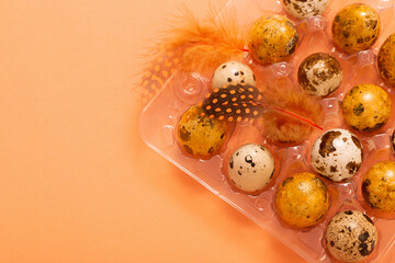 easter g quail eggs in plastic container  on pastel background