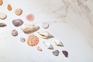 sea stones and seashells on white marble background