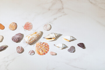 sea stones and seashells on white marble background