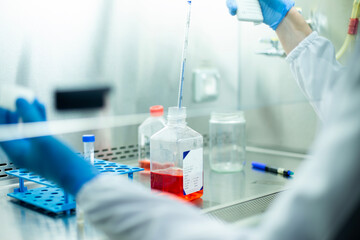 cell culture at the medicine, medical and cell culture laboratory