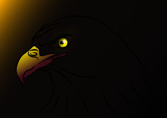 EAGLE ILLUSTRATION ON DARK BACKGROUND