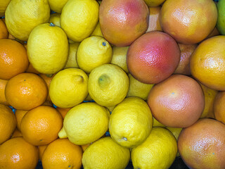 Oranges, lemons and grapefruits - lots of citrus fruits, source of vitamin C, top view.