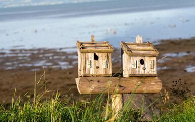 Birdhouse on wooden log,