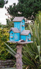 Birdhouse on wooden log,