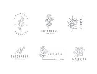 Collection of Botanical logo templates . Floral logo minimalistic vector with minimal outline style. Vector illustration