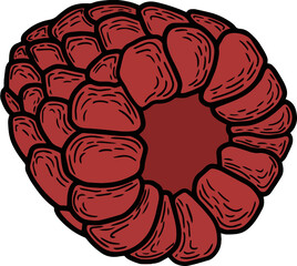 Raspberry leaf, png file.