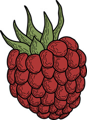 Minimalistic raspberry, png file