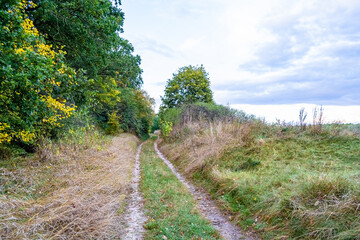 Fototapeta na wymiar Photography on theme beautiful footpath in wild foliage woodland