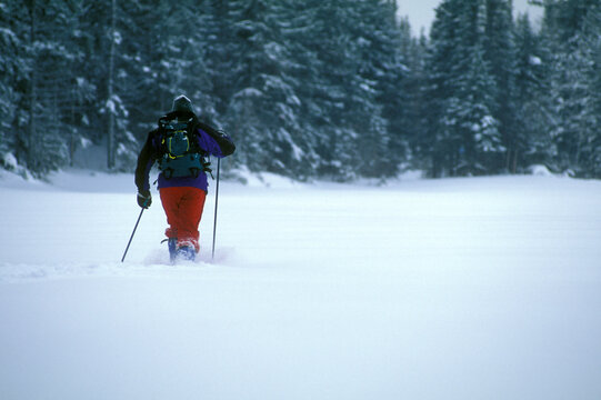 Cross country skiing.