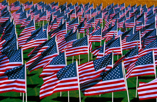 American Flags near Twin Falls, Idaho, USA