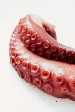 Close up of a boiled octopus