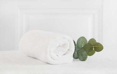 One white rolled towel with a eucalyptus branch on a light background