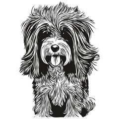 Havanese dog line art hand drawing vector logo black and white pets illustration