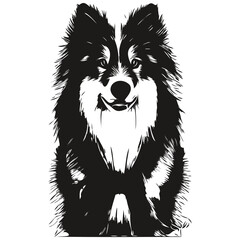 Shetland Sheepdog dog line art hand drawing vector logo black and white pets illustration