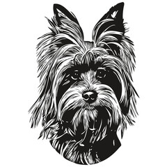 Yorkshire Terrier dog hand drawn logo line art vector drawing black and white pets illustration