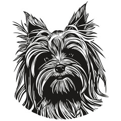 Yorkshire Terrier dog hand drawn logo line art vector drawing black and white pets illustration