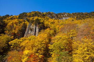 Tenninkyo in autumn and majestic columnar joints